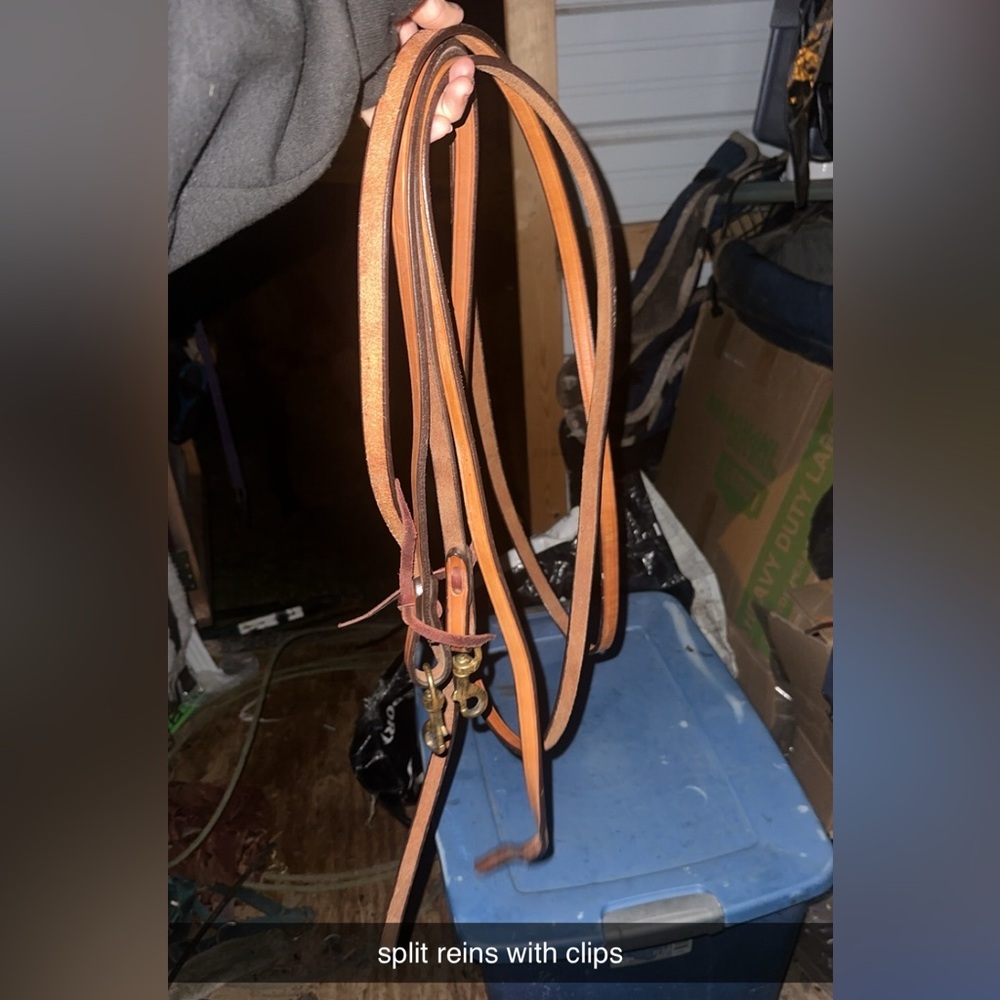 Headstall and reins